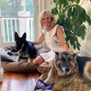 Jill Biden con i suoi cani Champ e Major