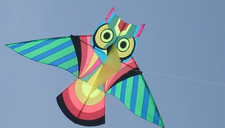 Kite Craft With Skewers