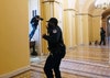 Al Campidoglio un poliziotto spara dello spray al peperoncino a un rivoltoso che tenta di entrare nel nel palazzo