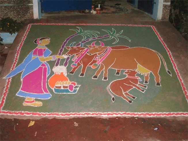Sankranthi festival rangoli
