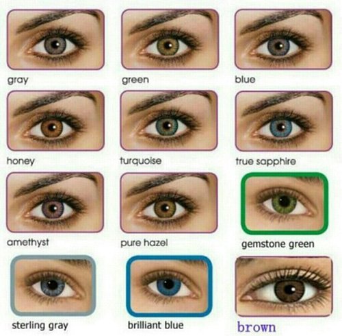 Eye Color Determination Chart