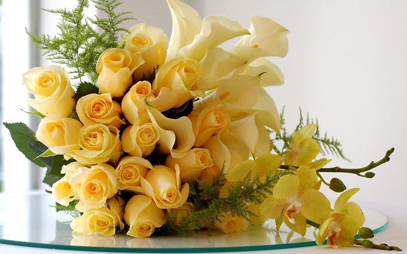 rose-day-yellow-roses