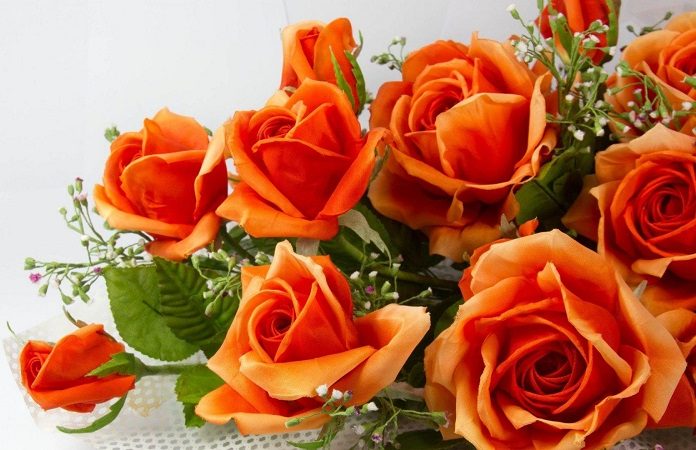 rose-day_orange_roses