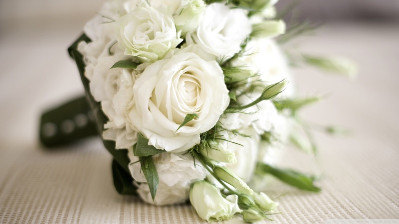 rose-day-White-Roses