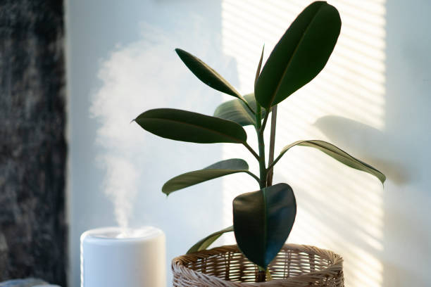 7-skin-care-tips-for-dry-skin-humidifier