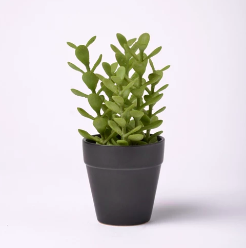 target succulent planter