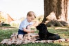 Il principe George e il cane Lupo nella foto ufficiale per il terzo compleanno del principe