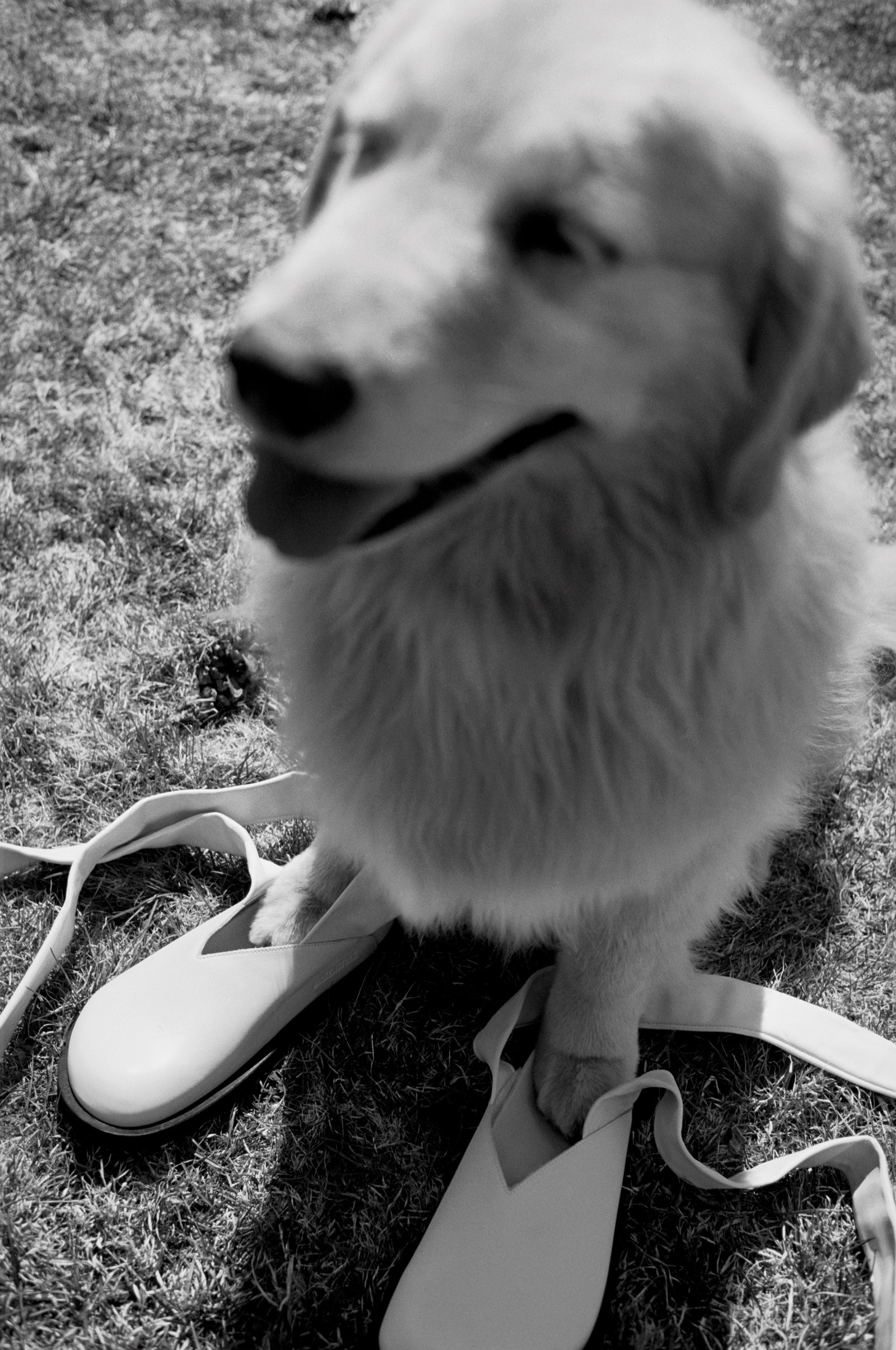 Jil Sander Brings Squishiness to Birkenstock