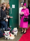 Image may contain: Human, Person, Clothing, Apparel, Hat, Animal, Pet, Canine, Dog, Mammal, Pants, and Elizabeth II