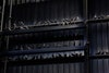 Maurizio Cattelan Ghosts, 2021, Pirelli HangarBicocca, Milano, 2021. Piccioni in tassidermia