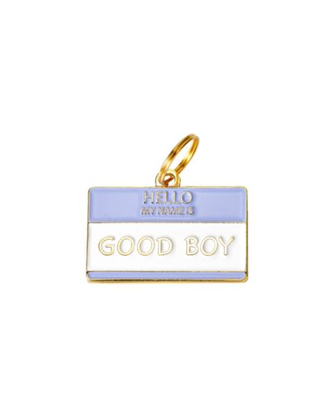 dog ID tag international dog day