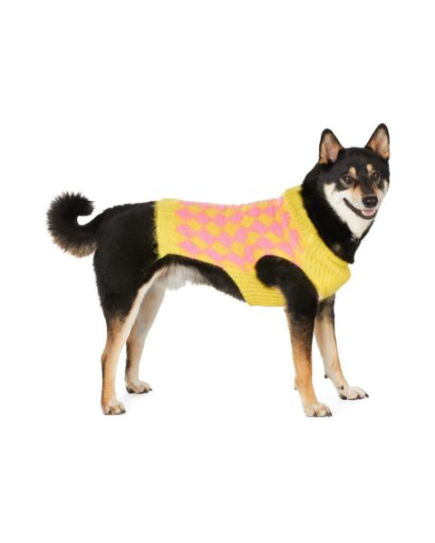 Celebrate National Dog Day with Chic Gifts for Your Favourite Pup