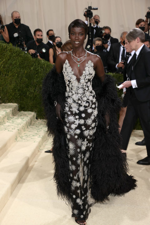 Met Gala Red Carpet 2021