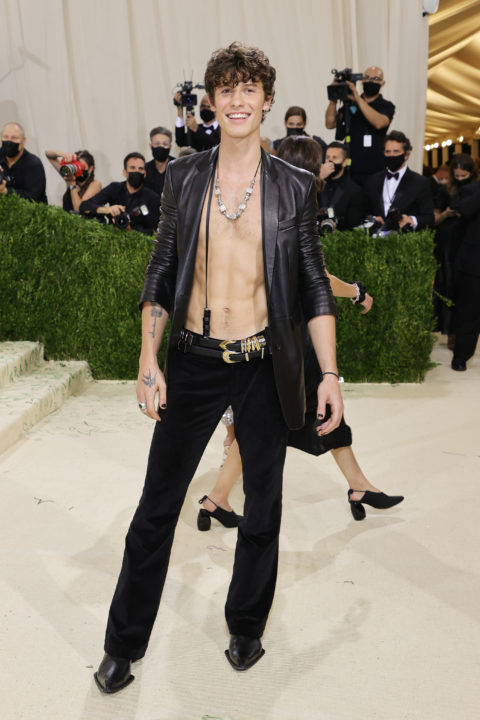Met Gala Red Carpet 2021