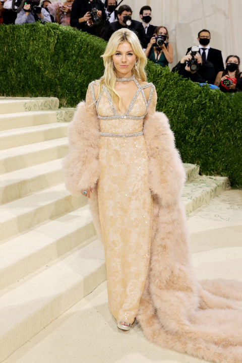 Met Gala Red Carpet 2021