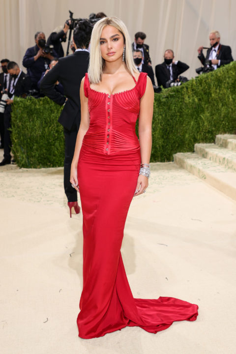 Met Gala Red Carpet 2021