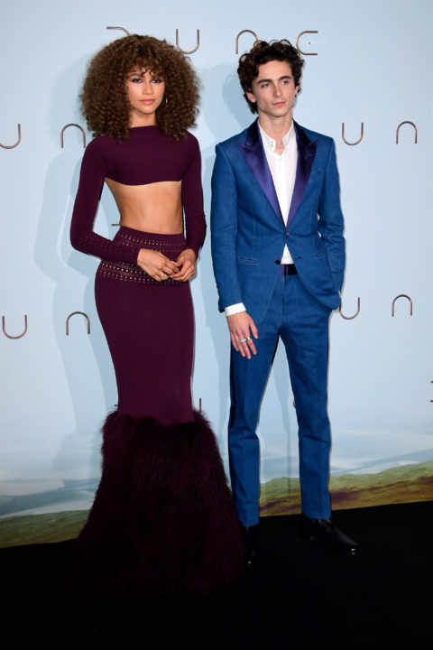 Zendaya and Timothee Chalamet