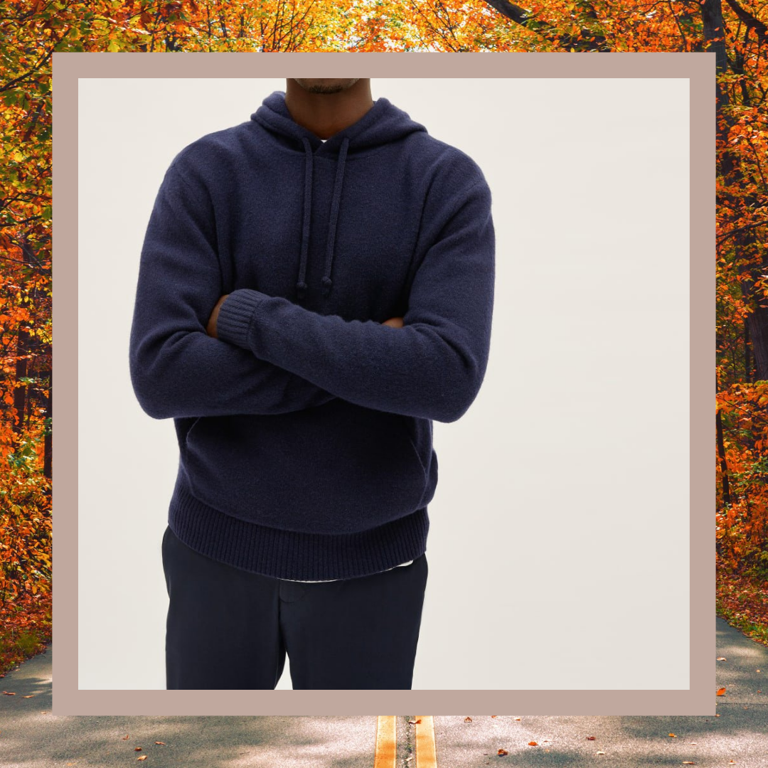 everlane merino hoodie
