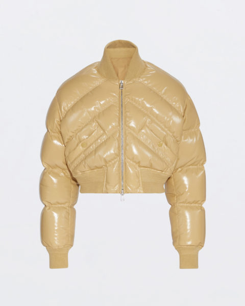 fall leather