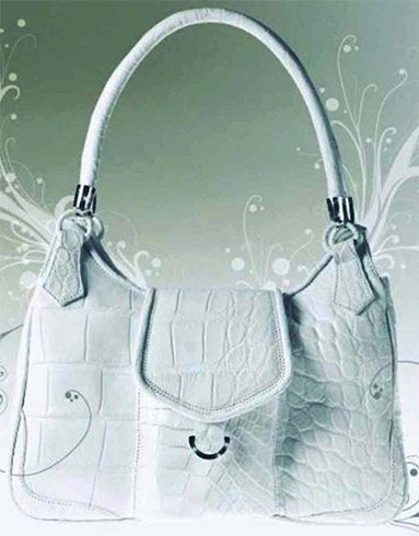 Hilde Palladino expensive handbag