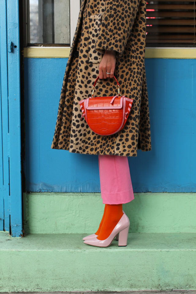 colored tights